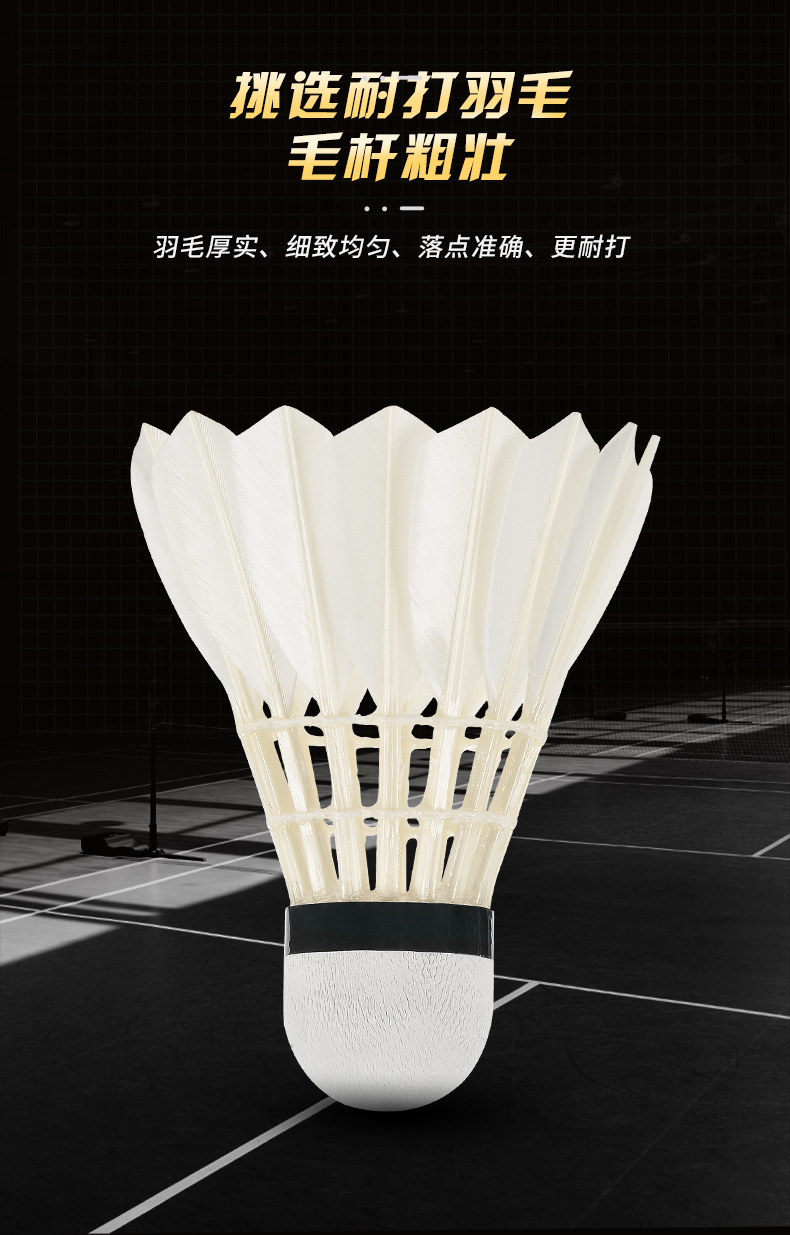 جديد 12 قطعة المهنية الريشة كر - مراجعة Badminton Event وسعره