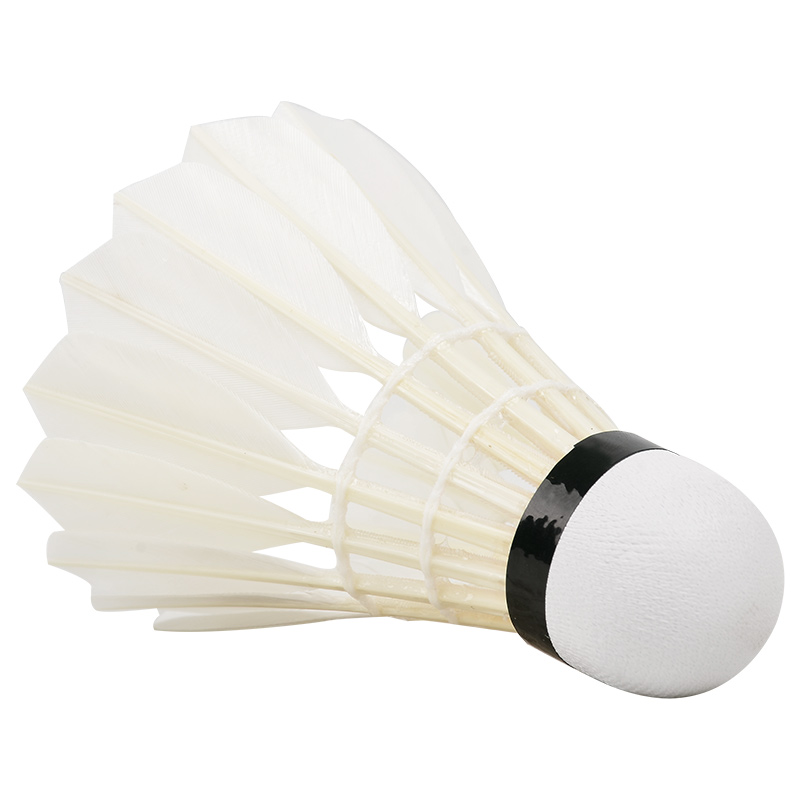 جديد 12 قطعة المهنية الريشة كر - مراجعة Badminton Event وسعره