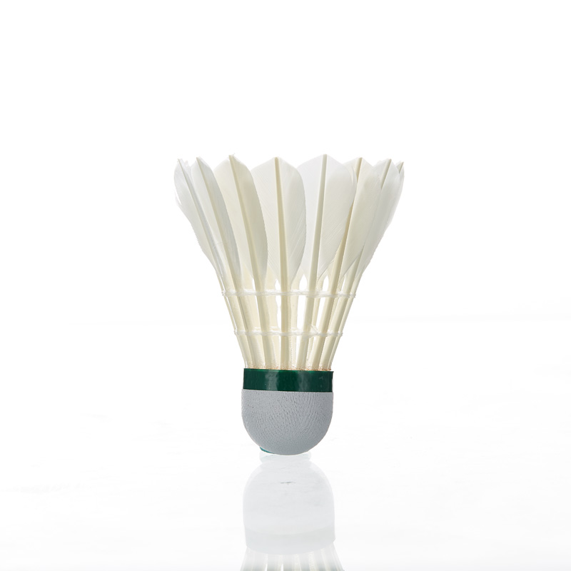 كاواساكي ريشة الريشة 8E المهني - مراجعة Badminton Center وسعره