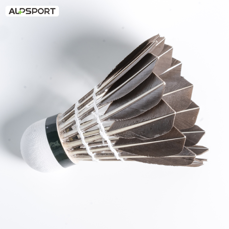 ALP 806 كرات الريشة 12 قطعة كر - مراجعة Badminton Event وسعره